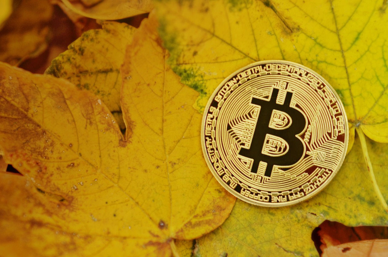 DWF Labs投资川普加密货币WLFI！支持机构级稳定币USD1